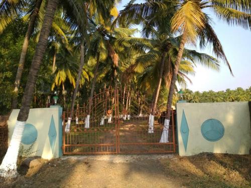 Arecapalm, Murud, Murud