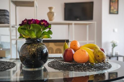 Paradise Guest Apartment, Sofia