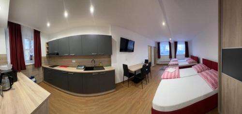 Pension u Vlcku in สตไรโบร