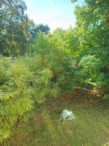 Garden, Le petit Ermitage in Montfort-l'Amaury