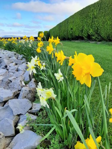 Bunratty Haven Bed & Breakfast