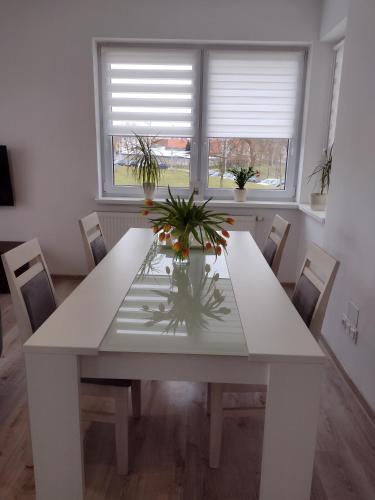 Apartament Jagielloński