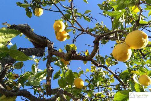 Casa D'Avó (1º Andar)