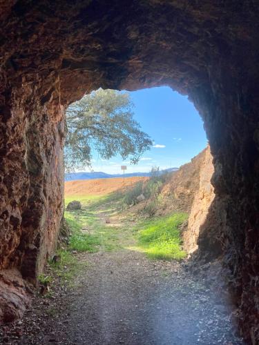 Cielo Abierto