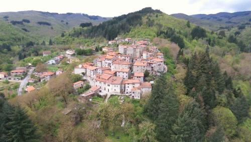  Casa Carda di Lai Loretta in Castel Focognano