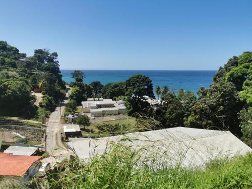 Mango Bottom Jackson Trace in Castara