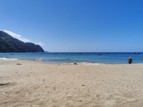 Mango Bottom Jackson Trace in Castara