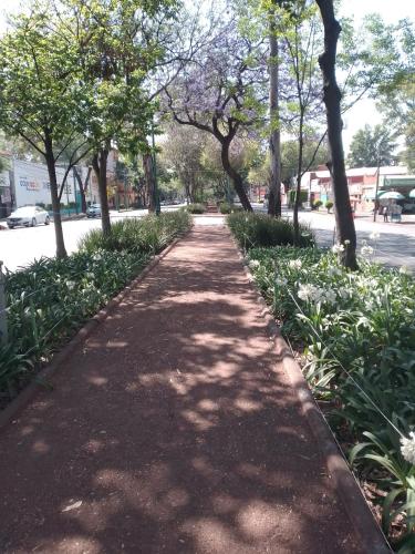 COYOACAN DEPARTAMENTO TIPO COLONIAL