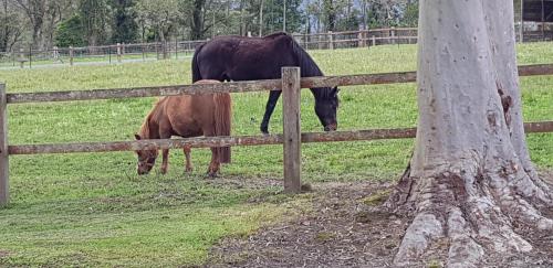 The Big Bell Farm