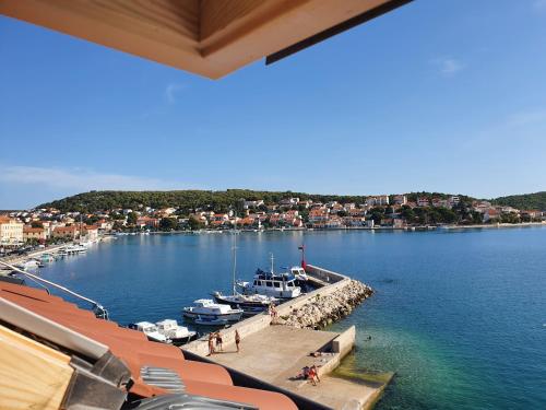 Apartment Eagle View Tisno