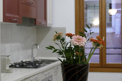Standard Apartment image 1
