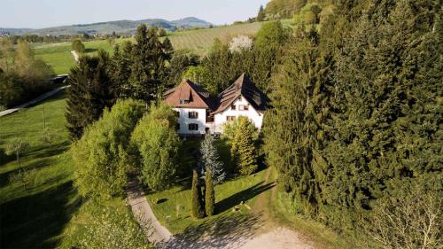 B&B Staufen im Breisgau - Gästehaus Kaltenbach - Bed and Breakfast Staufen im Breisgau