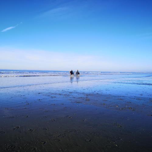 Hightide - Bracklesham Bay