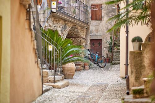 EL VOLT, Malcesine (photo 5)