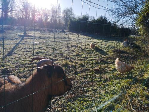 La Ferme de Frévan