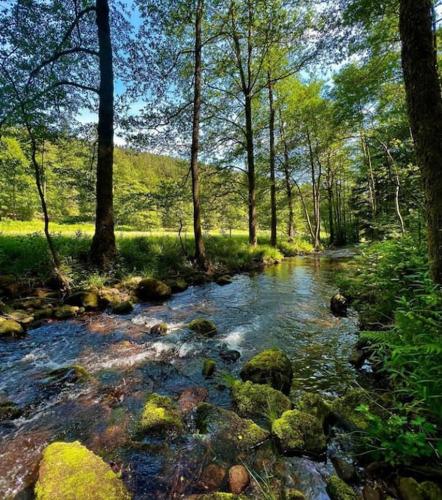 Gemütliches Apartment am Kurhaus in Dobel (Gemutliches Apartment am Kurhaus in Dobel) in 多伯爾