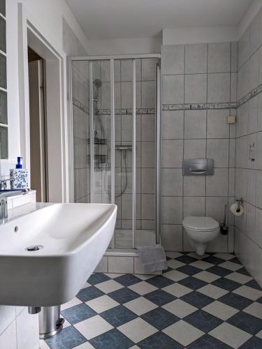 Altenberger Stadtvilla, Drážďany (fotografie 3)