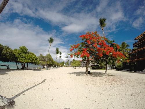 入口, Luxury Beachfront King Suite on Sapphire Beach II in 雷德胡克