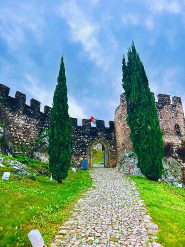 Skats, Quinta Castanheiro da Penha - Alegrete - Portalegre - Alentejo in Alegrete