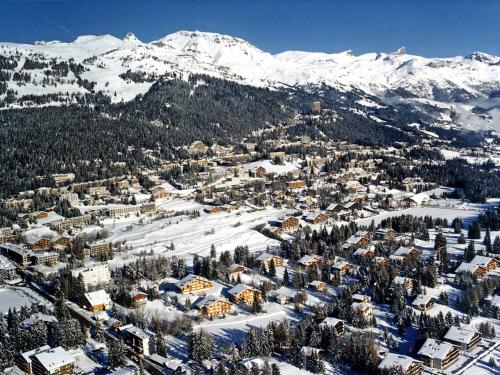 Apartment Terrasse des Alpes-8 by Interhome