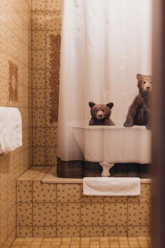 Hotel Bären