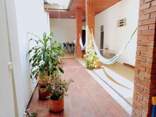 Casa del perro coliving 2