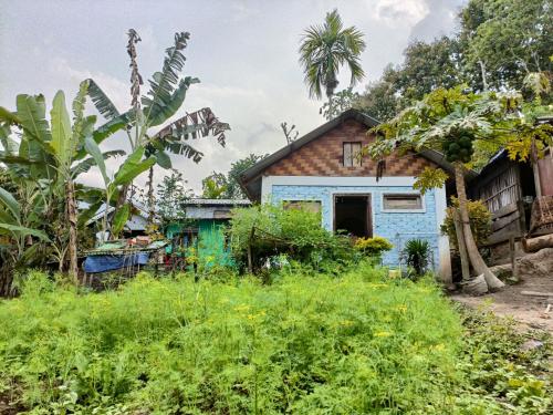 Garden, Live in Nature in Hillside