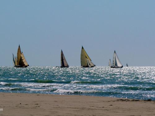 Locazione Turistica Stella Marina