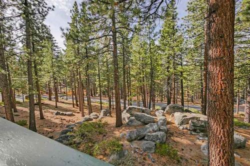 1240 Timber Lane home - image 10