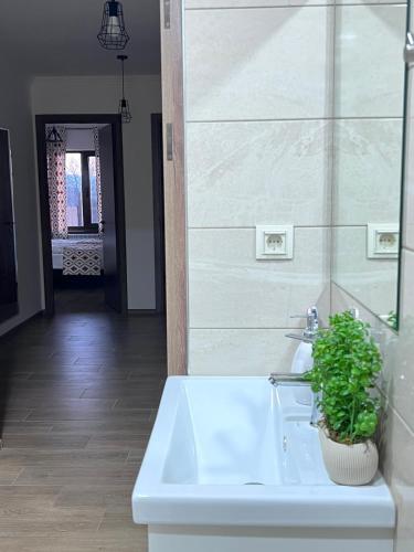 Green Agarak Guest House near Dendropark, Stepanavan in Gargar