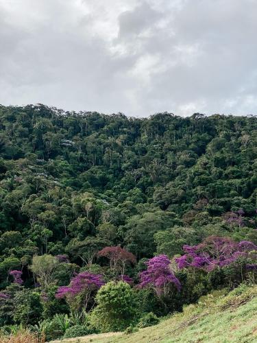 Sitio Ancestrale - Melhor lugar de Santa Teresa-ES