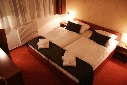 Canada Hotel Budapest, Budapest (photo 7)