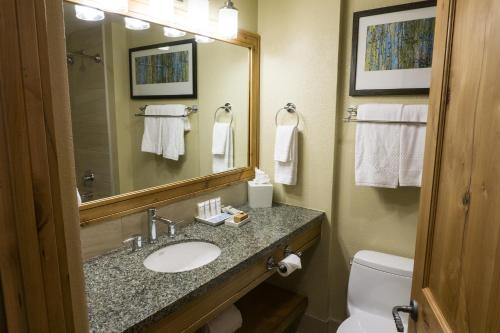 Grand Summit G446 - image 2