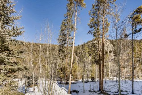 Ski Tip Townhomes 8713 - image 11