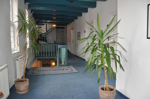 Hohes Haus - main image