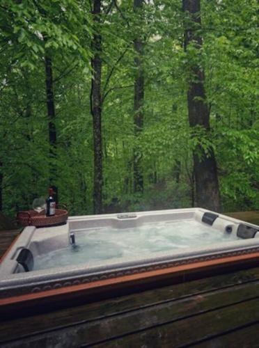 Poconos Bear Lodge in Locust Lakes Village, USA