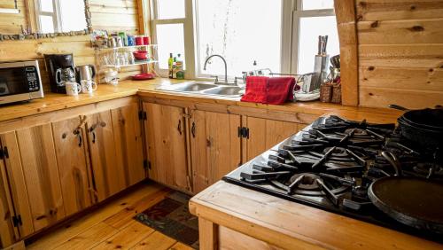 Aubin Sky Lodging at the YL Ranch - image 4