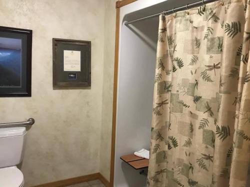 C15 - Lake view two bedroom, two bath Harbor North luxury cottage with private hot tub overlooking Lake Ouachita, Mount Ida (zdjęcie 6)