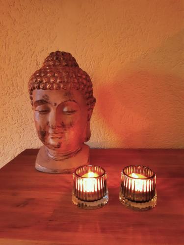 genieten op de Veluwe van rust en natuur genieten op de Veluwe van rust en natuur