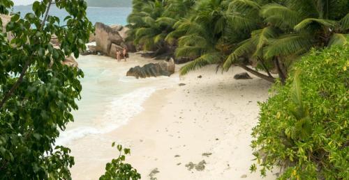 帕特坦村酒店 帕特坦村酒店