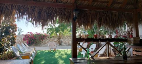 Hostal Johnnier Macao Punta Cana in Punta Cana