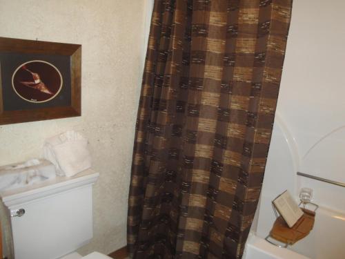 C7 - Lake view three bedroom, three bath cottage with hot tub overlooking Lake Ouachita, Mount Ida (fotografie 10)
