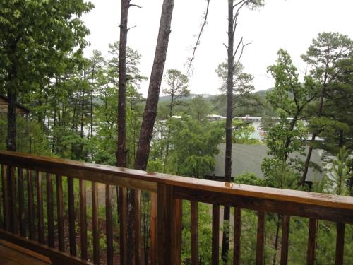 C7 - Lake view three bedroom, three bath cottage with hot tub overlooking Lake Ouachita, Mount Ida (fotografie 8)