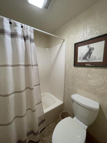 C3 - Mountain Harbor Lodge cottage on Lake Ouachita, Mount Ida (photo 10)