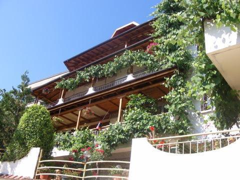 A szálláshely kívülről, Tora Bora Guest House in Pancharevo