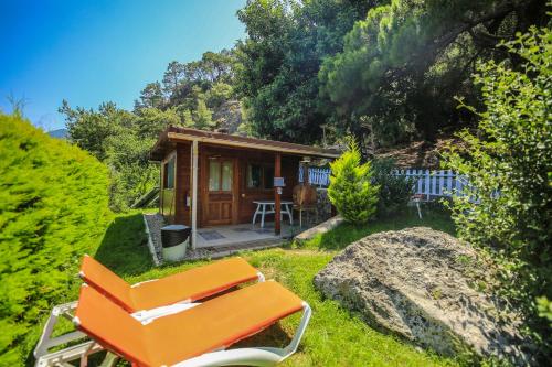 ral Villa Zeytin - image 5