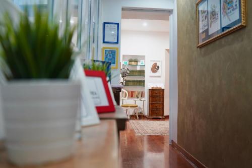 B&B Arts And Music 5
