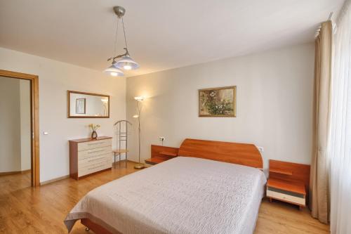 Apartment with air conditioning in the Center, Druskininkai (foto 8)