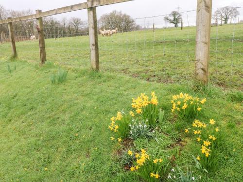 The Barn at Harrolds Farm - image 3