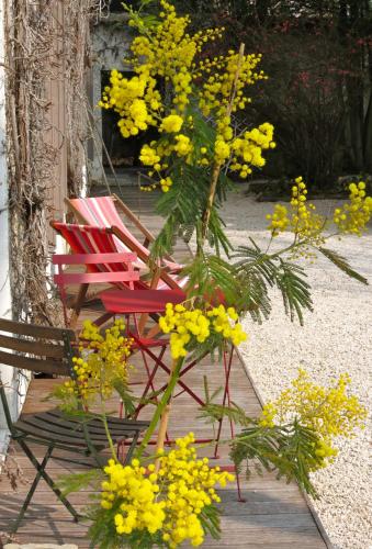 L'Annexe photo 16